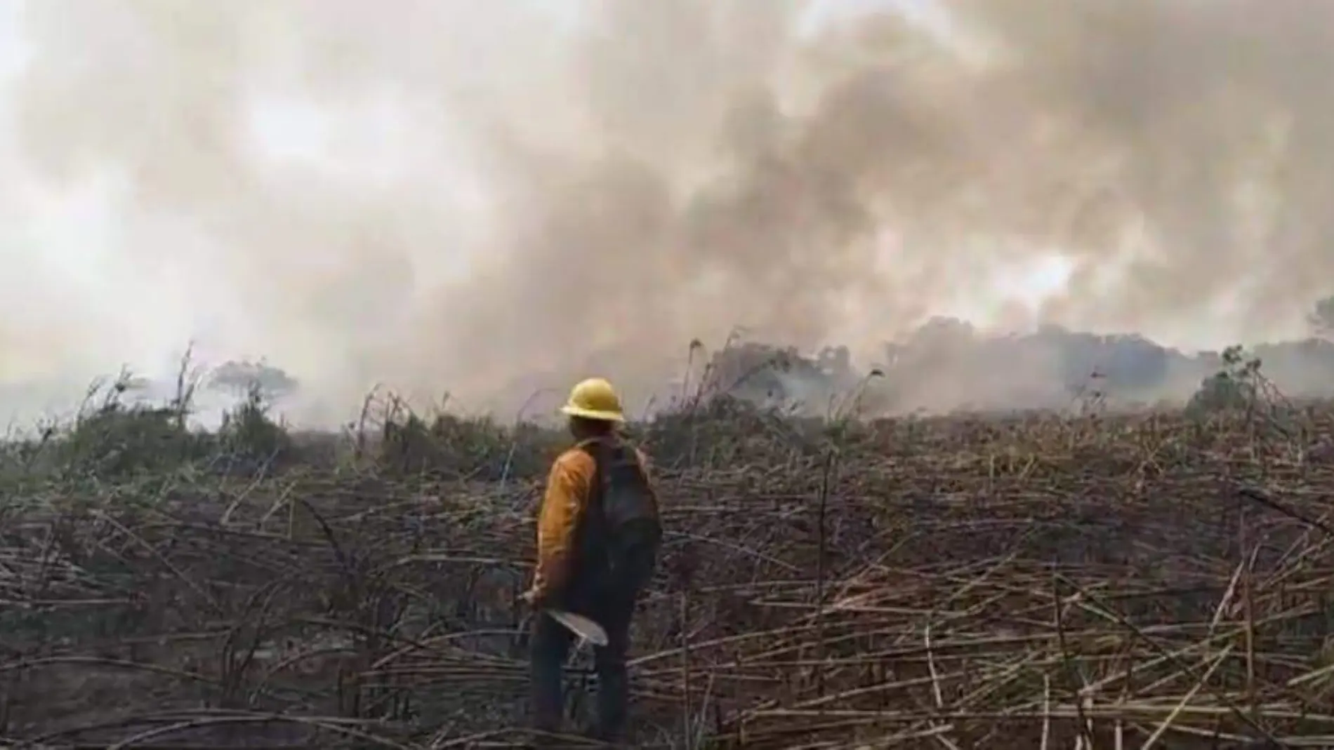 Brigadista en incendio